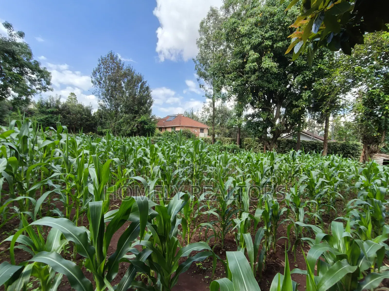 Prime Quarter Acre Corner Plot for Sale in Kerarapon Drive. Red Soil in Kerarapon