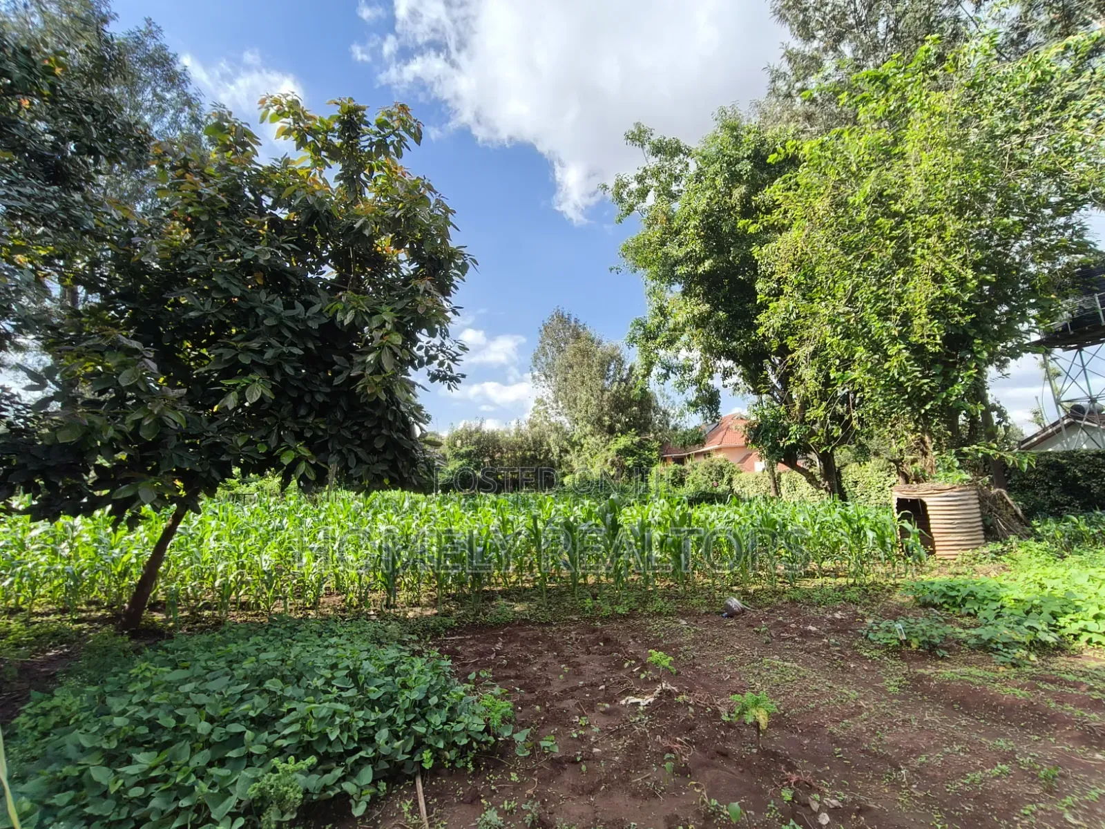 Prime Quarter Acre Corner Plot for Sale in Kerarapon Drive. Red Soil in Kerarapon