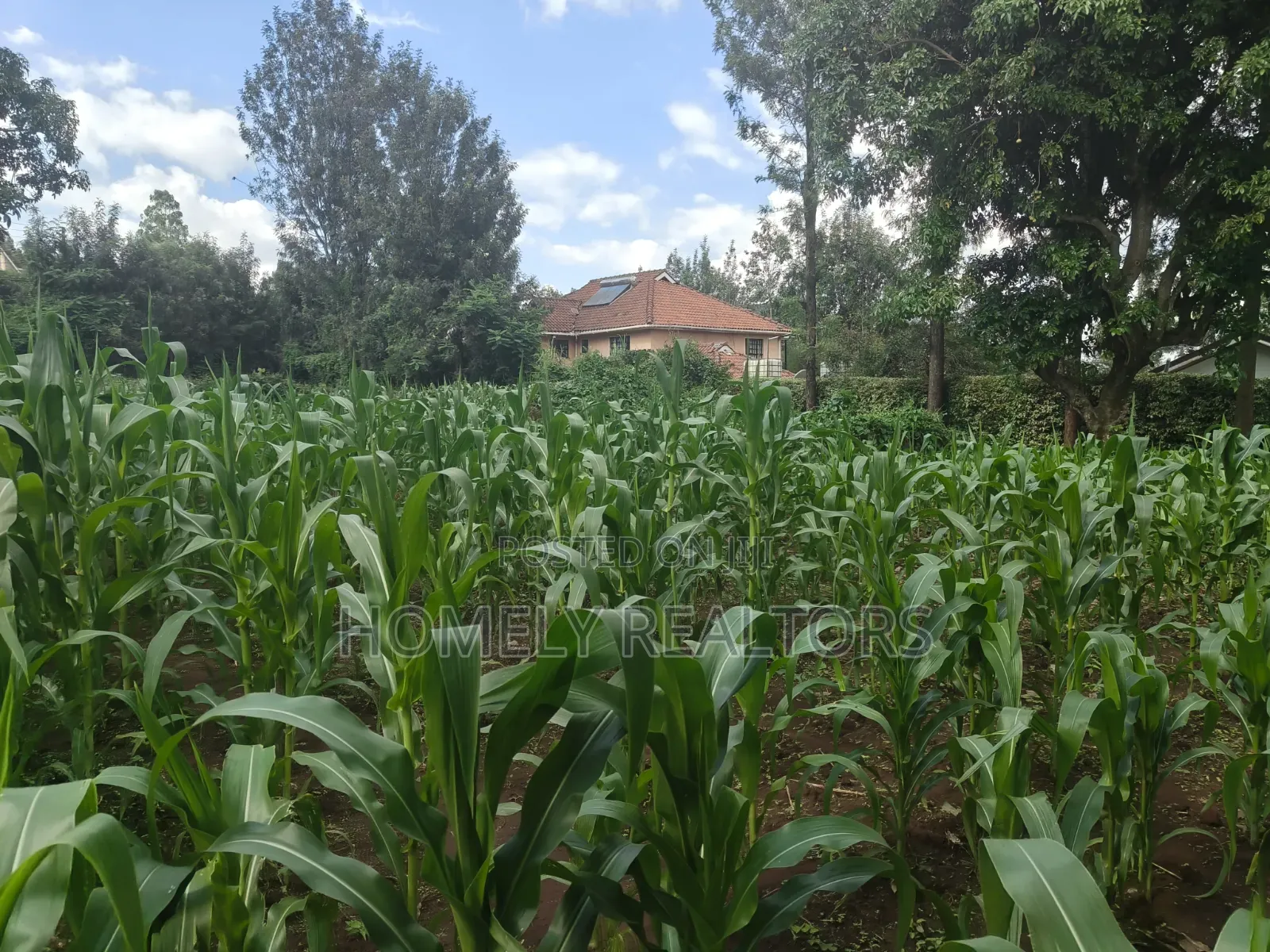 Prime Quarter Acre Corner Plot for Sale in Kerarapon Drive. Red Soil in Kerarapon