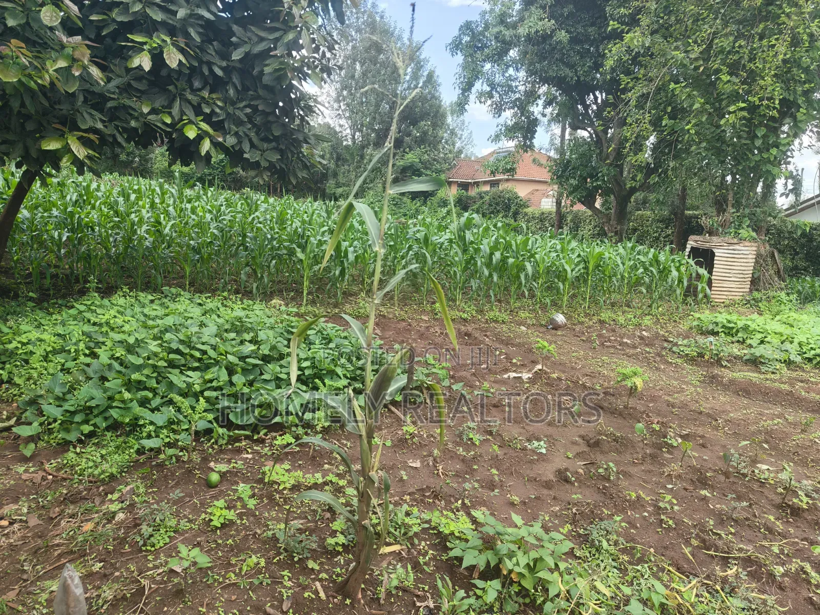 Prime Quarter Acre Corner Plot for Sale in Kerarapon Drive. Red Soil in Kerarapon