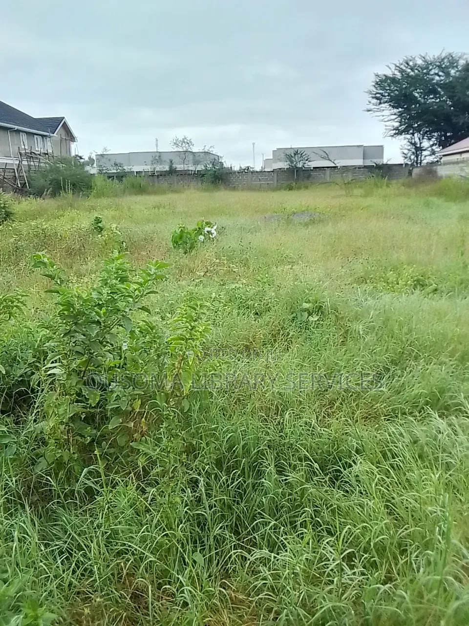 Kitengela’S Last Half Acre Under 10m Acacia | Just Before Olerai Hotel in Kitengela