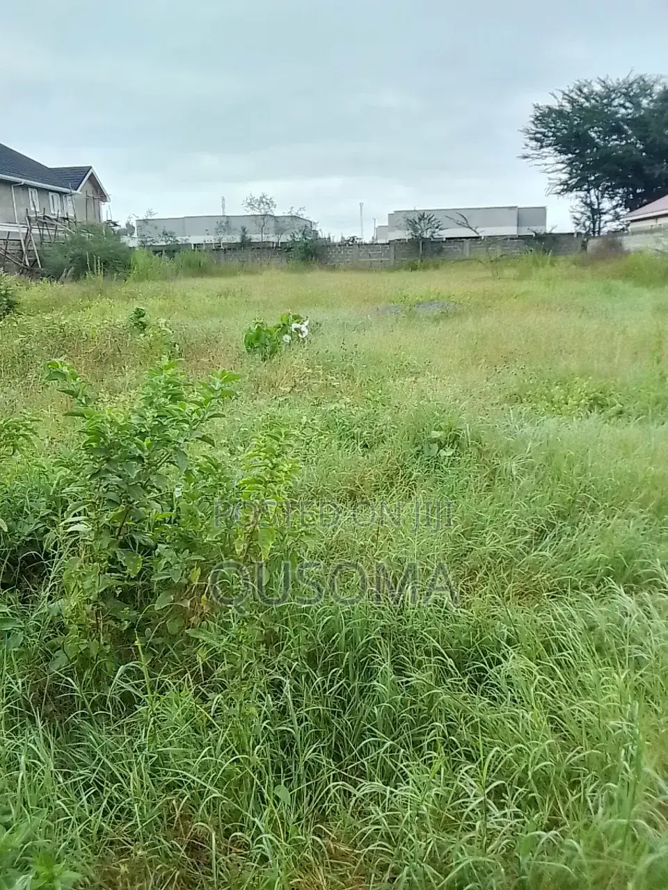 Kitengela’S Last Half Acre Under 10m Acacia | Just Before Olerai Hotel in Kitengela
