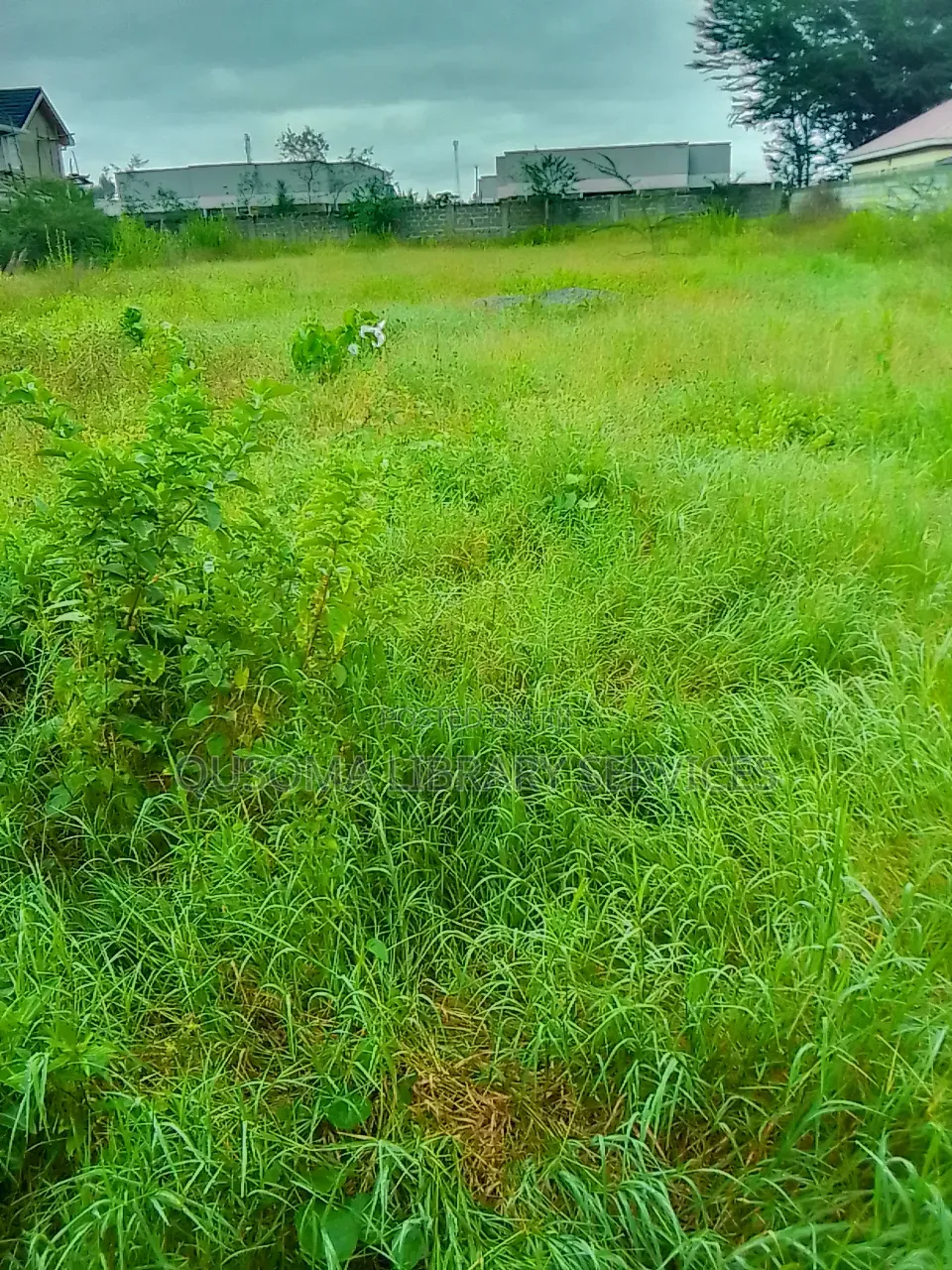 Kitengela’S Last Half Acre Under 10m Acacia | Just Before Olerai Hotel in Kitengela