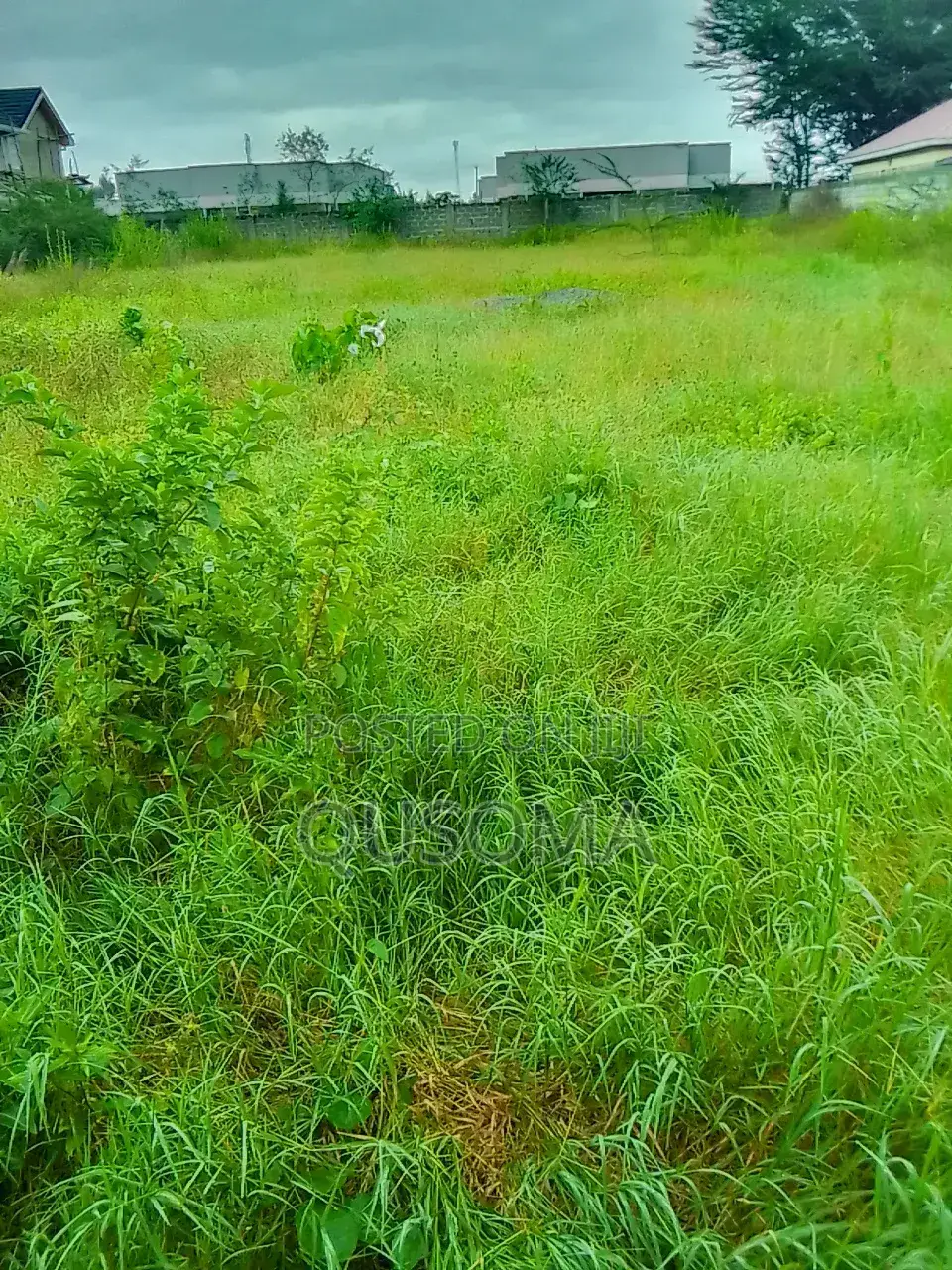 Kitengela’S Last Half Acre Under 10m Acacia | Just Before Olerai Hotel in Kitengela