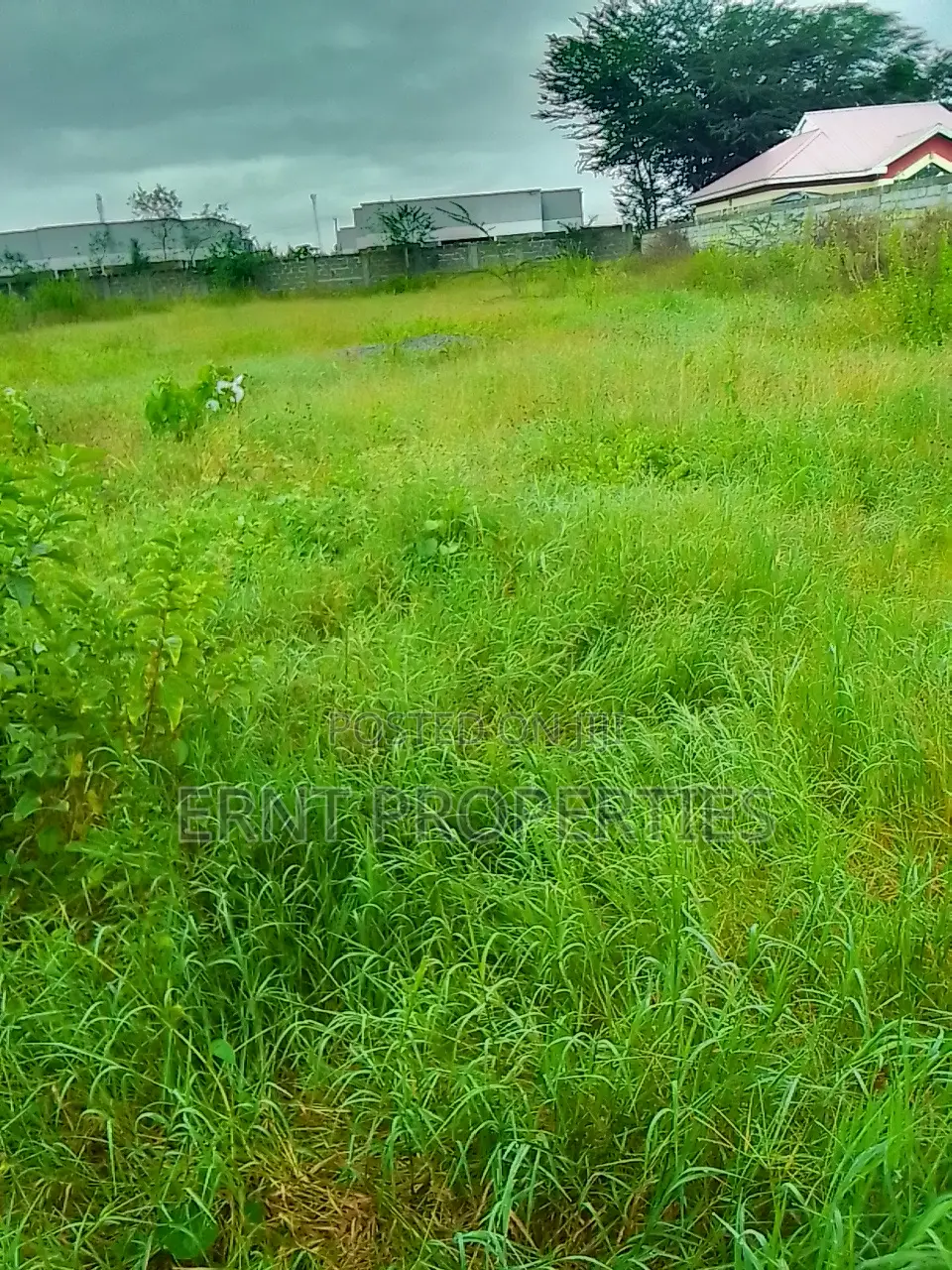 Half Acre in Acacia Near Olerai. Prime Developer Deal at KSH 10m in Kitengela