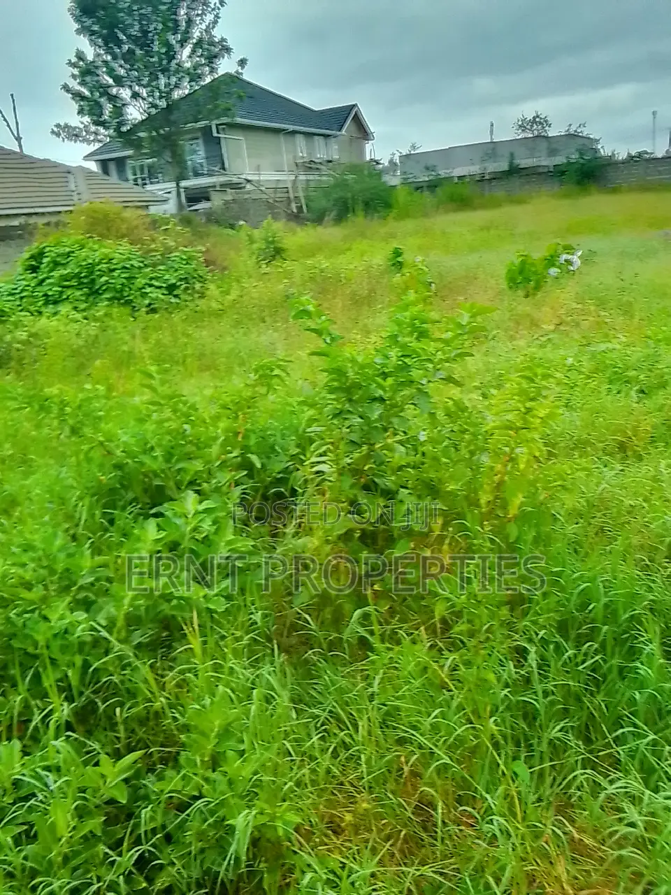 Half Acre in Acacia Near Olerai. Prime Developer Deal at KSH 10m in Kitengela