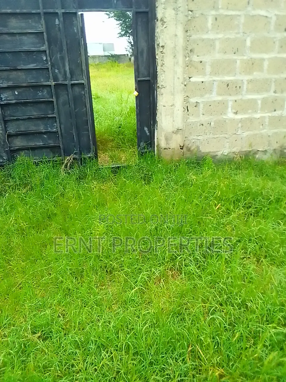 Half Acre in Acacia Near Olerai. Prime Developer Deal at KSH 10m in Kitengela