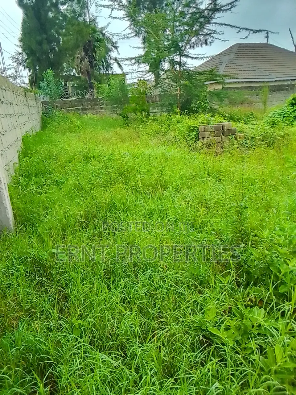 Half Acre in Acacia Near Olerai. Prime Developer Deal at KSH 10m in Kitengela