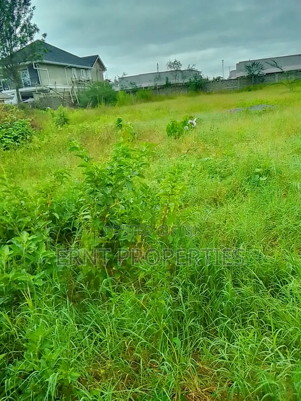 Half Acre in Acacia Near Olerai. Prime Developer Deal at KSH 10m in Kitengela