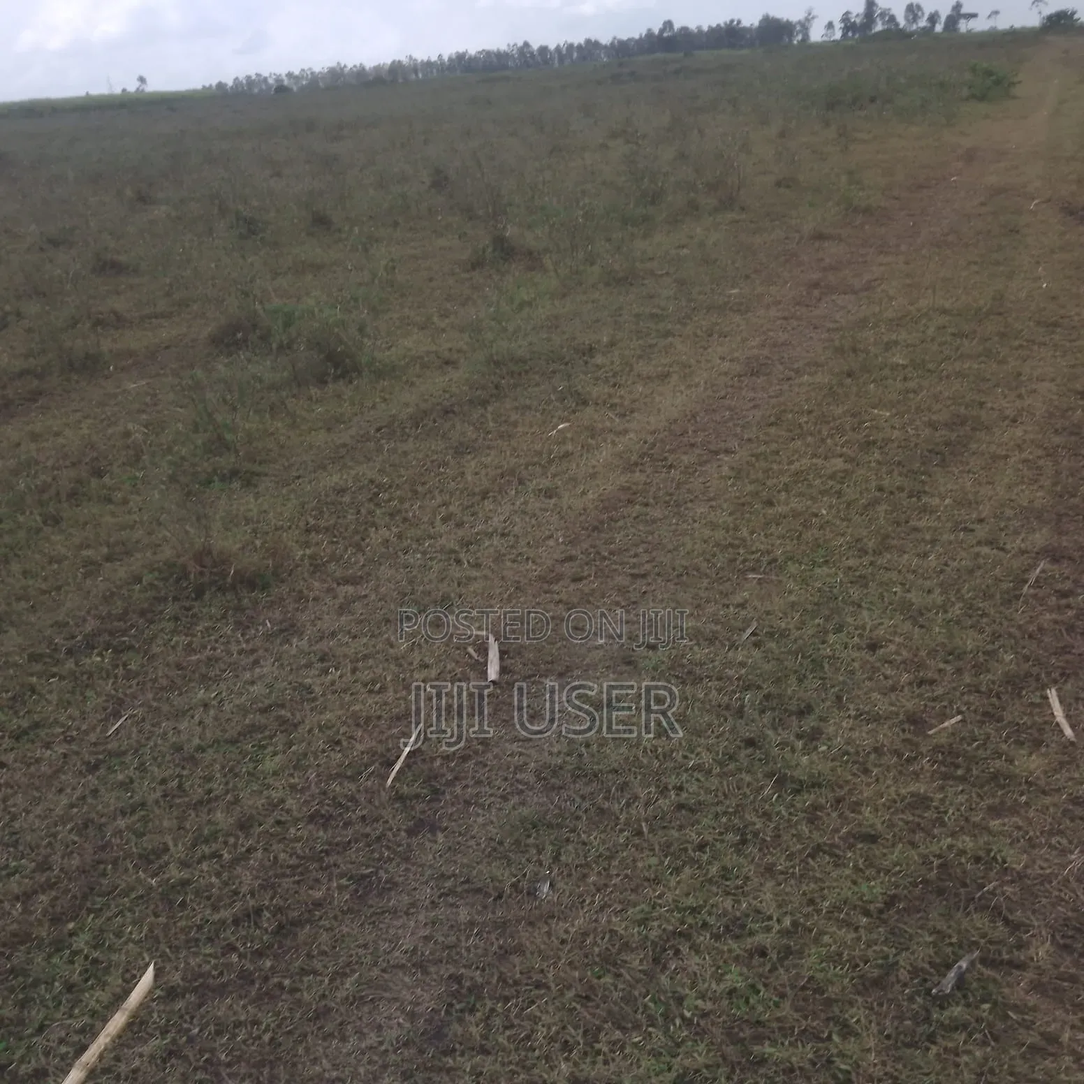 26 Acres of Land in Mirogi Area in Homa Bay Central