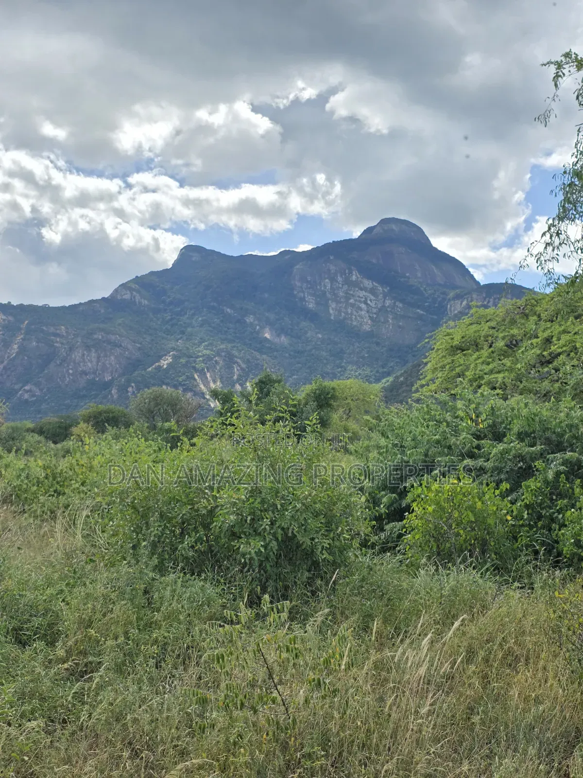 2 Acres With a Bedsitter House Kasigau Bungule for Sale as Block in Kasigau