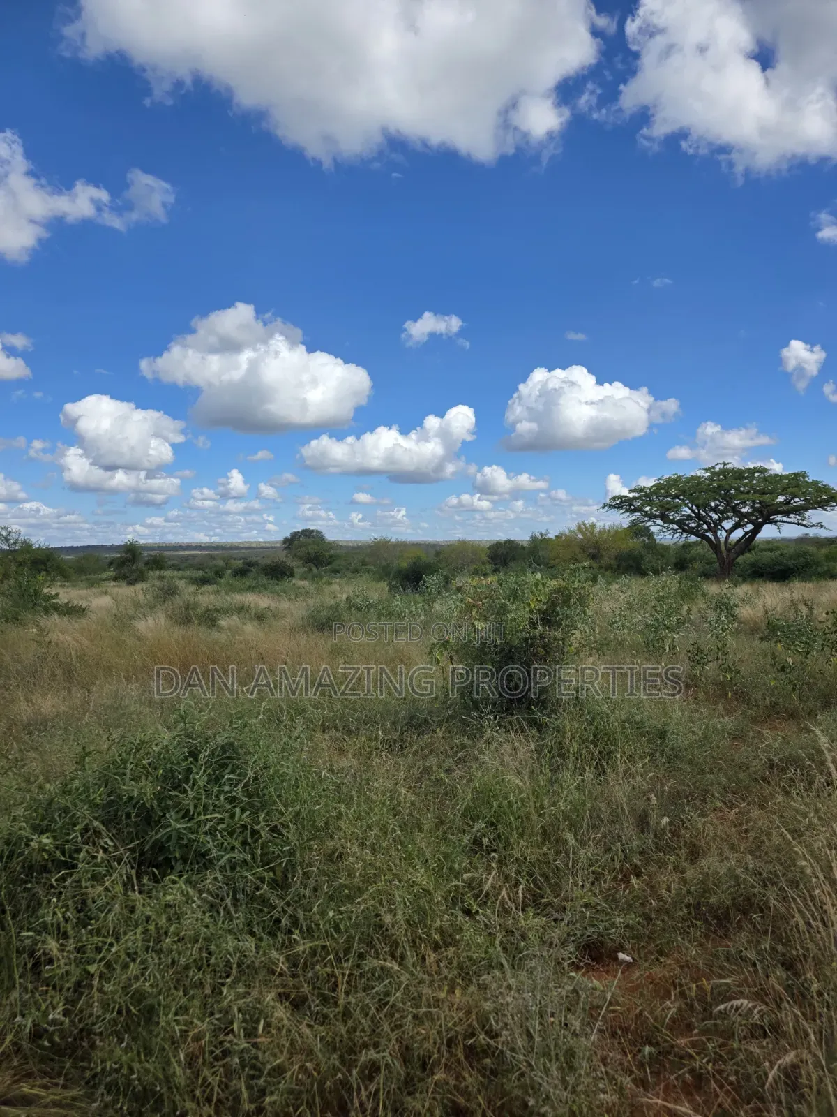 2 Acres With a Bedsitter House Kasigau Bungule for Sale as Block in Kasigau