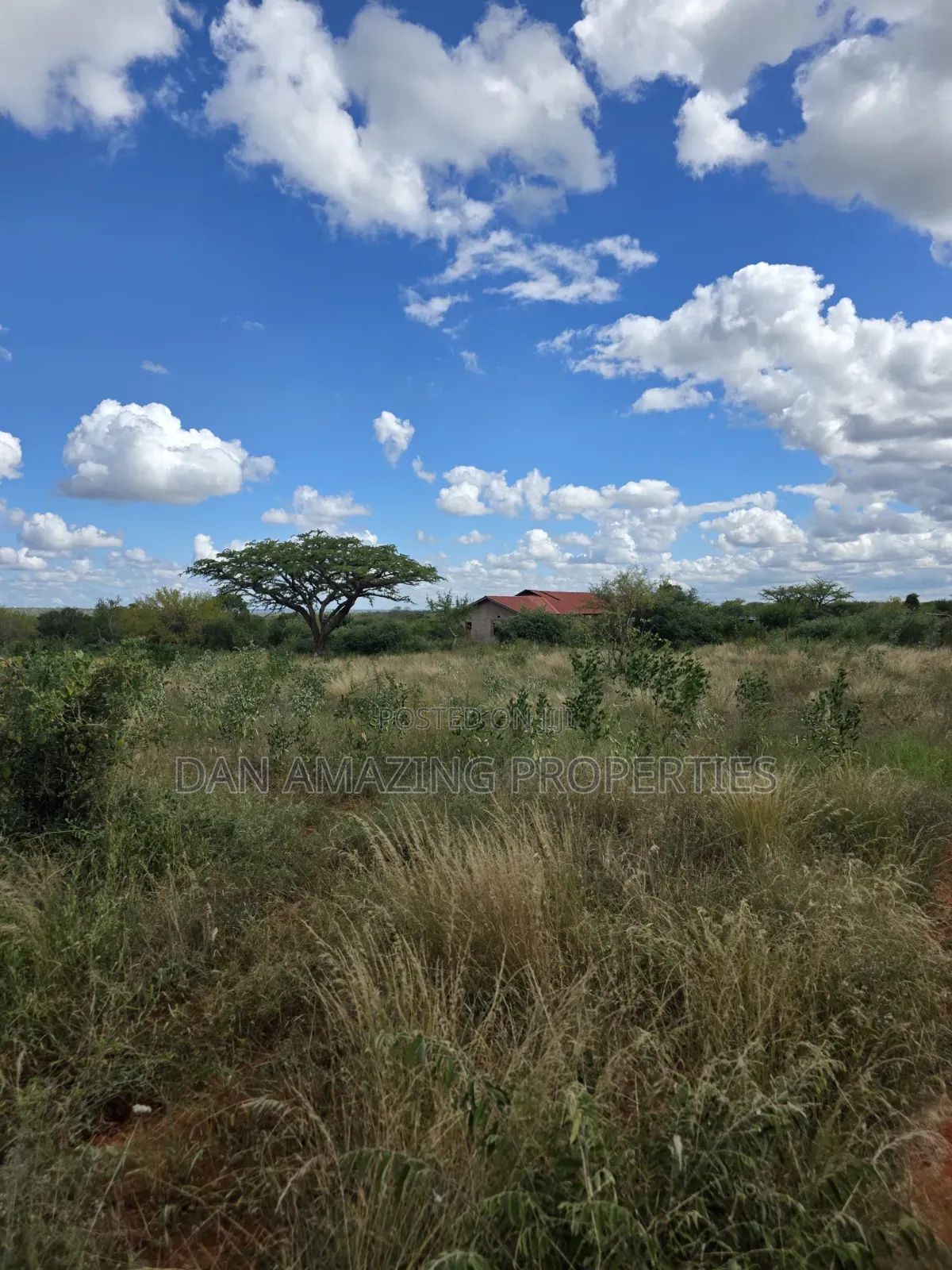 2 Acres With a Bedsitter House Kasigau Bungule for Sale as Block in Kasigau