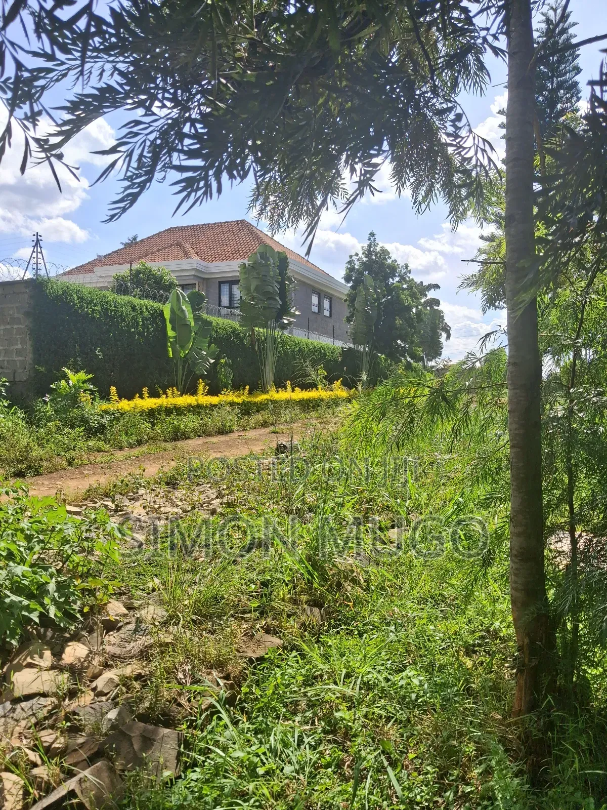 Golden Palm Estate Kiambu Secure Fully Serviced 1/4ac in Gated Court in Ridgeways