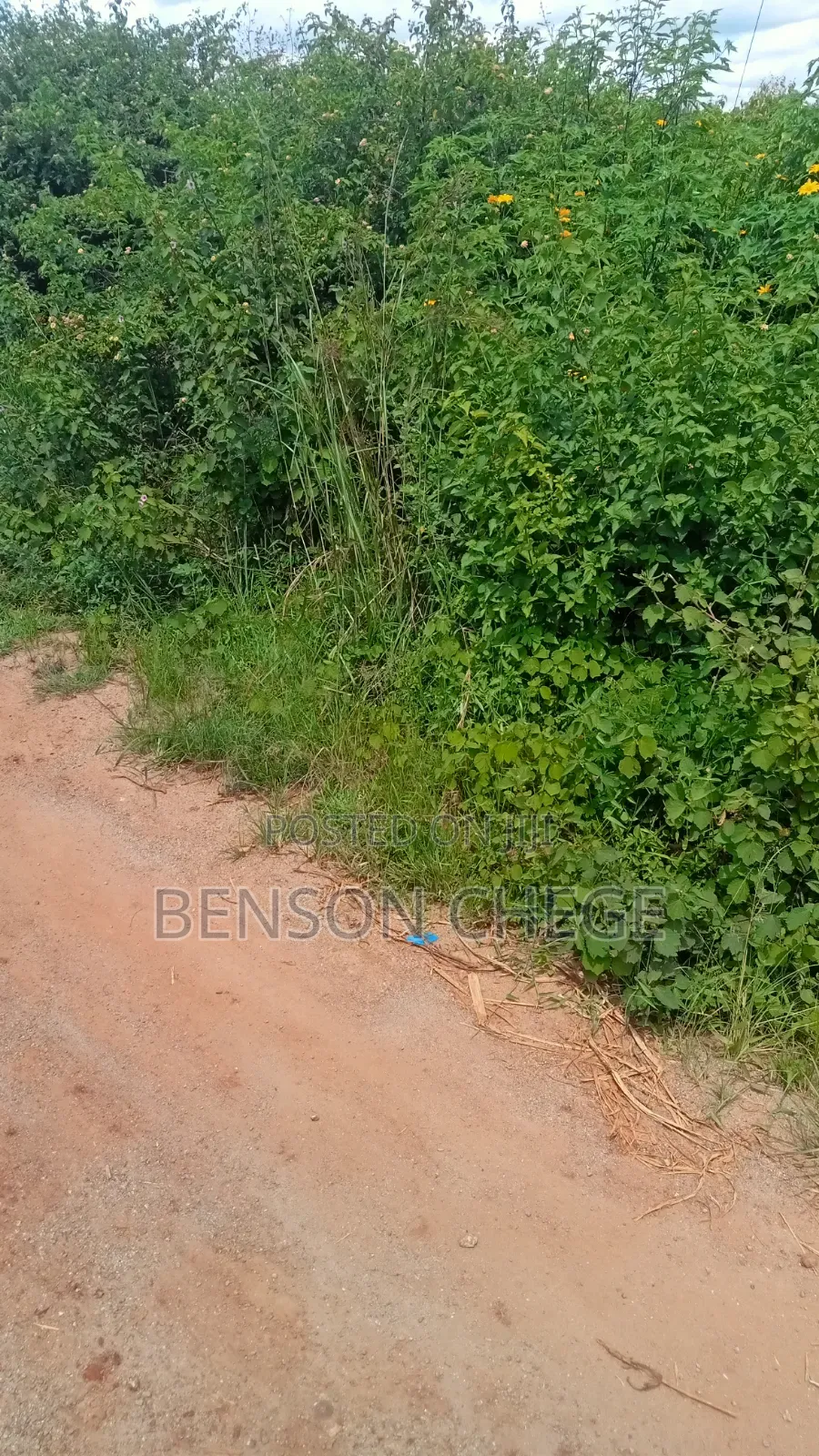 2 Acres of Land for Sale in Maragua Summary in Nginda
