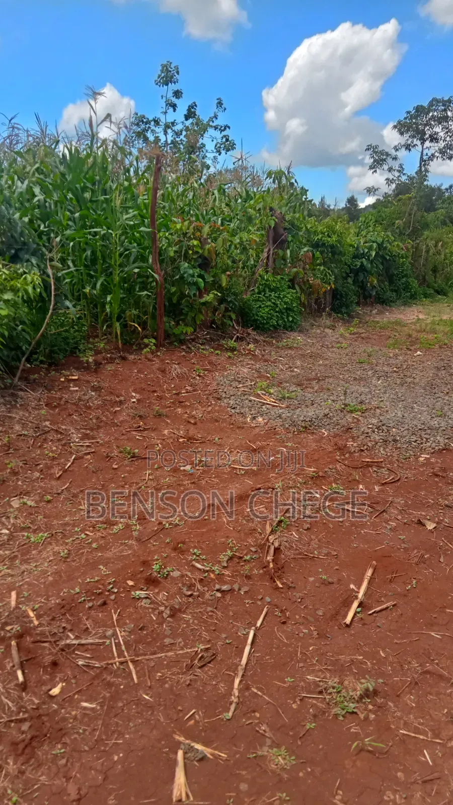 2acre for Sale in Maragua Summary Land in Nginda