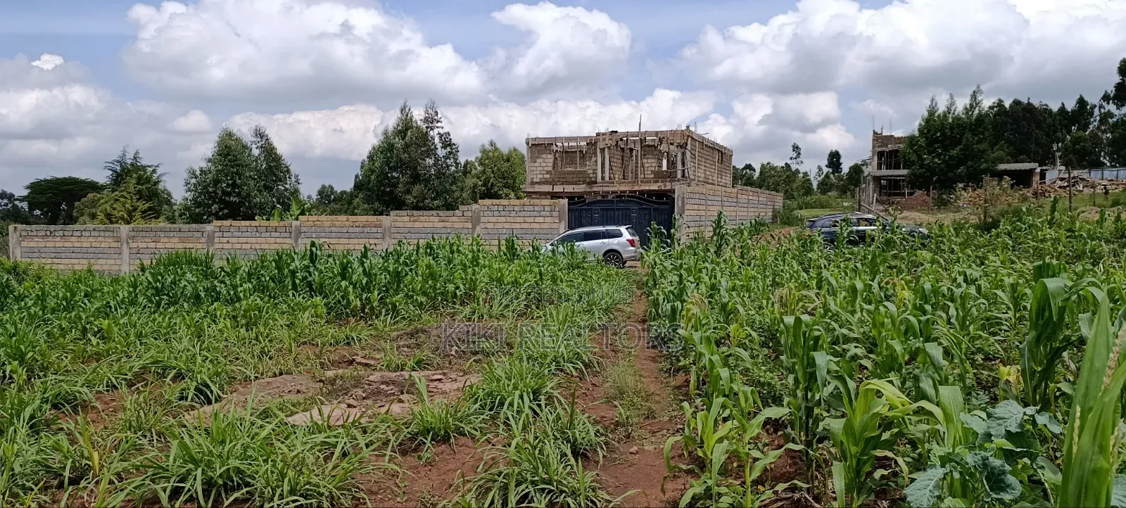 Kikuyu Plots 50x100fts Kamangu in Kikuyu