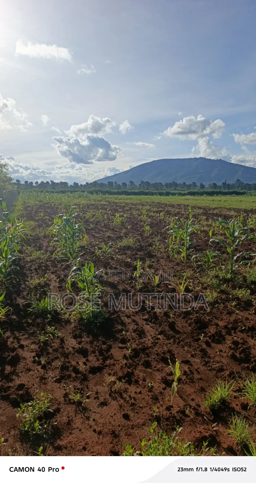 100 by 100 at Matingi in Tala
