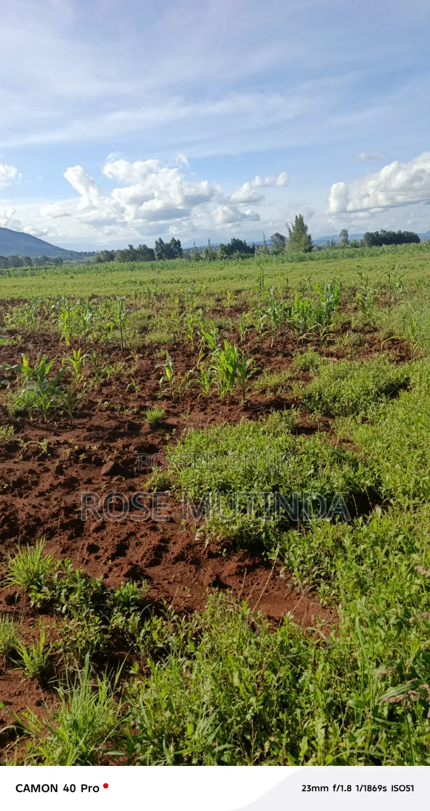 100 by 100 at Matingi in Tala