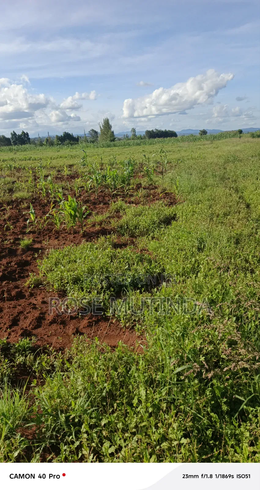 100 by 100 at Matingi in Tala