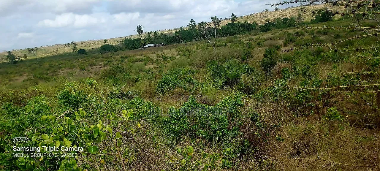 Dongo Kundu 1/2 an Acre Plot for Sale in Ukunda