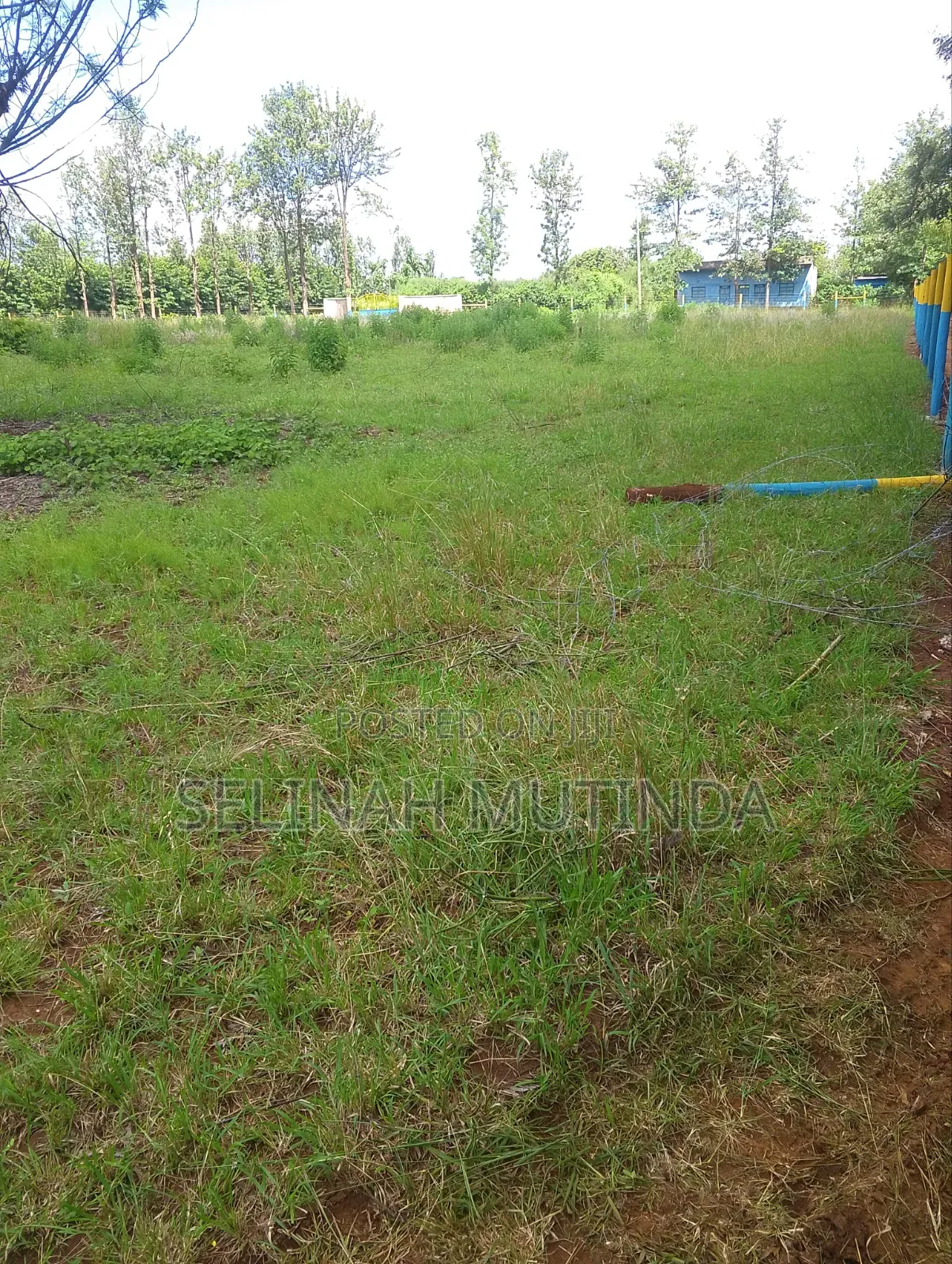Makutano Mwea Town in Mutithi
