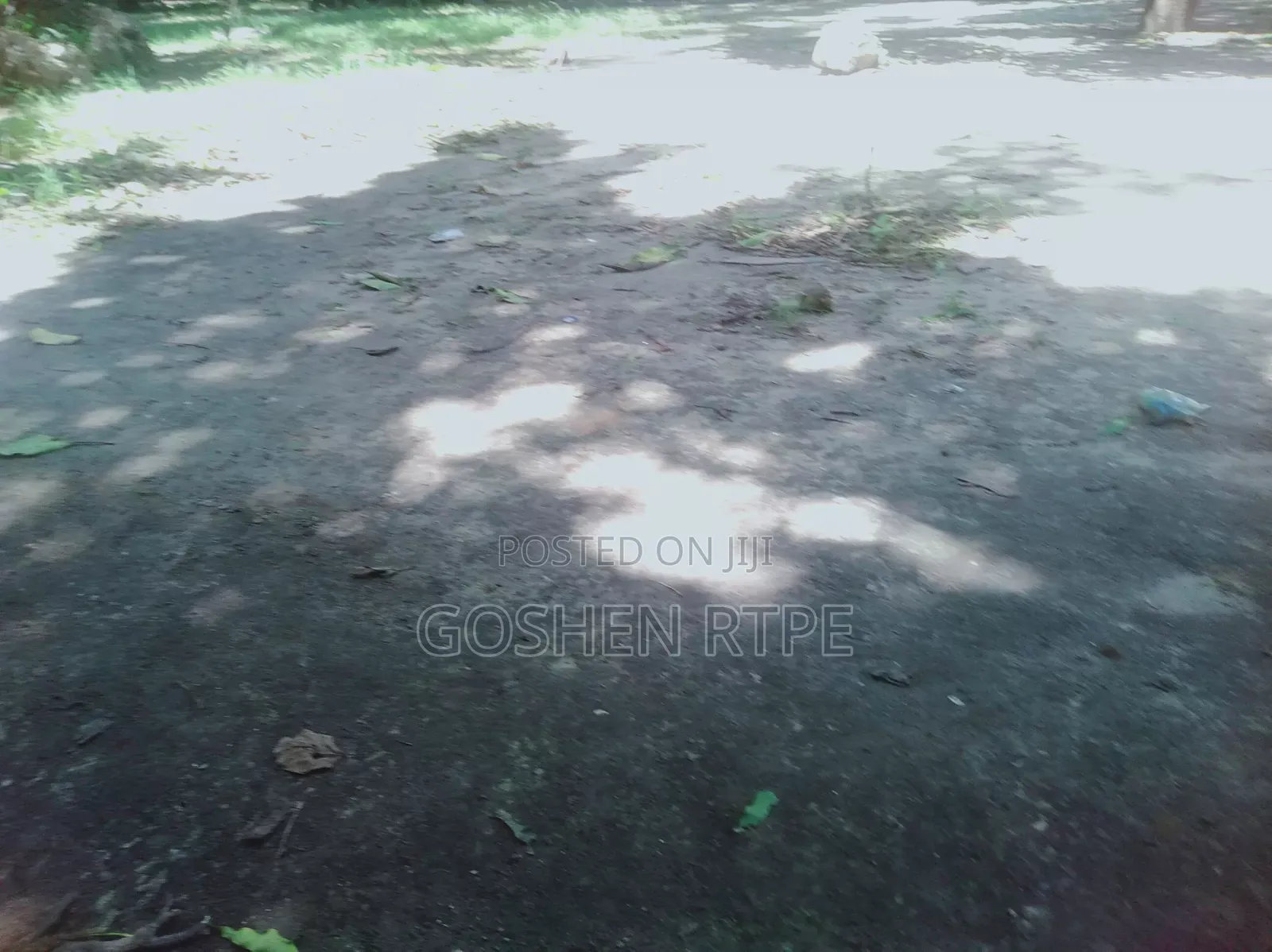 Prime 1/4 Acre Yard at to Let at Kisimani Mombasa Mainland in Bombolulu