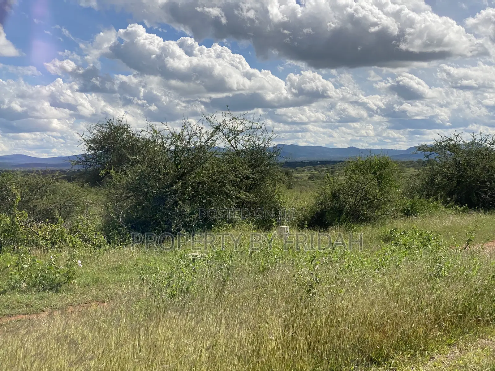 Land for Sale Mashuru,Kajiado in Imaroro