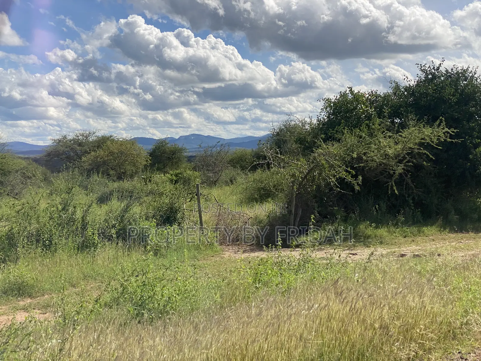 Land for Sale Mashuru,Kajiado in Imaroro