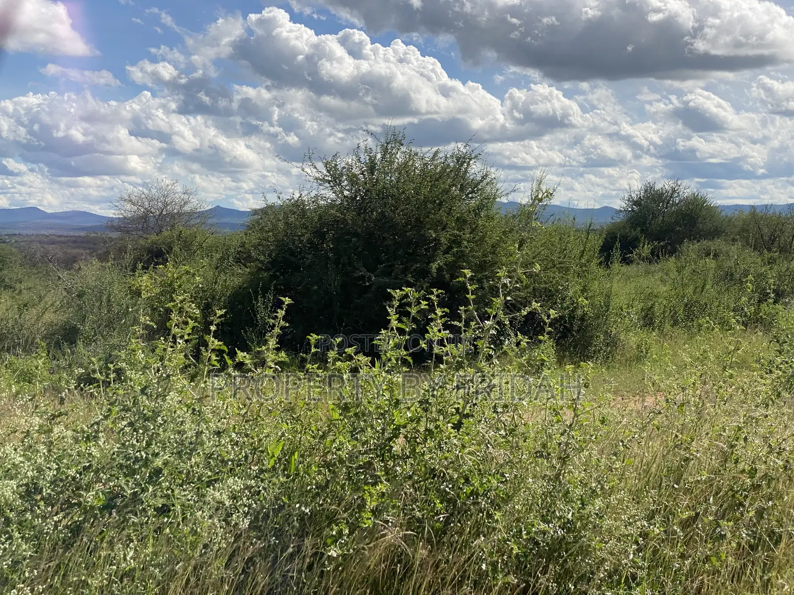 Land for Sale Mashuru,Kajiado in Imaroro