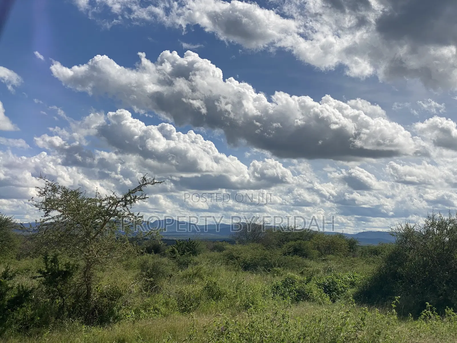 Land for Sale Mashuru,Kajiado in Imaroro