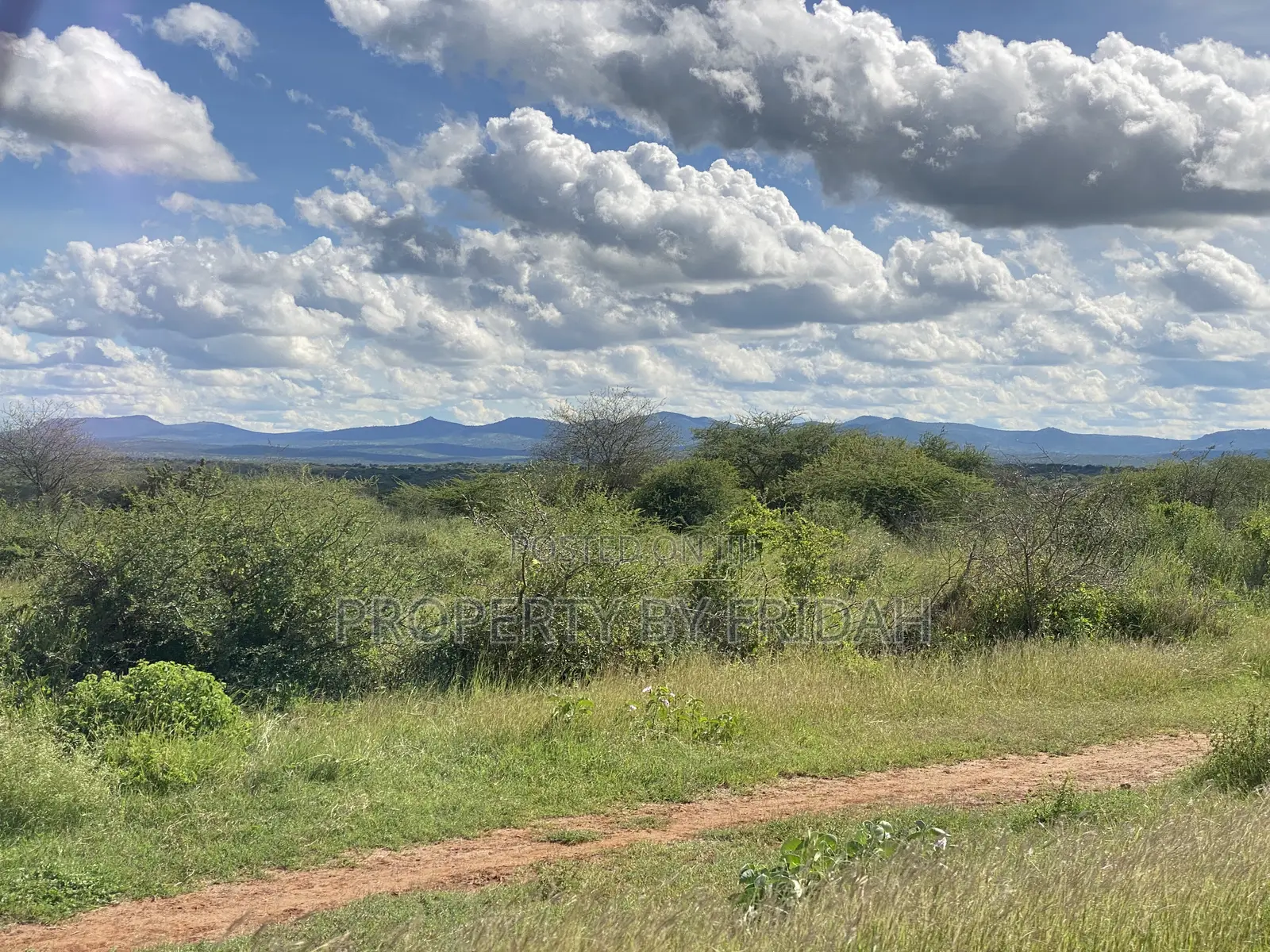 Land for Sale Mashuru,Kajiado in Imaroro
