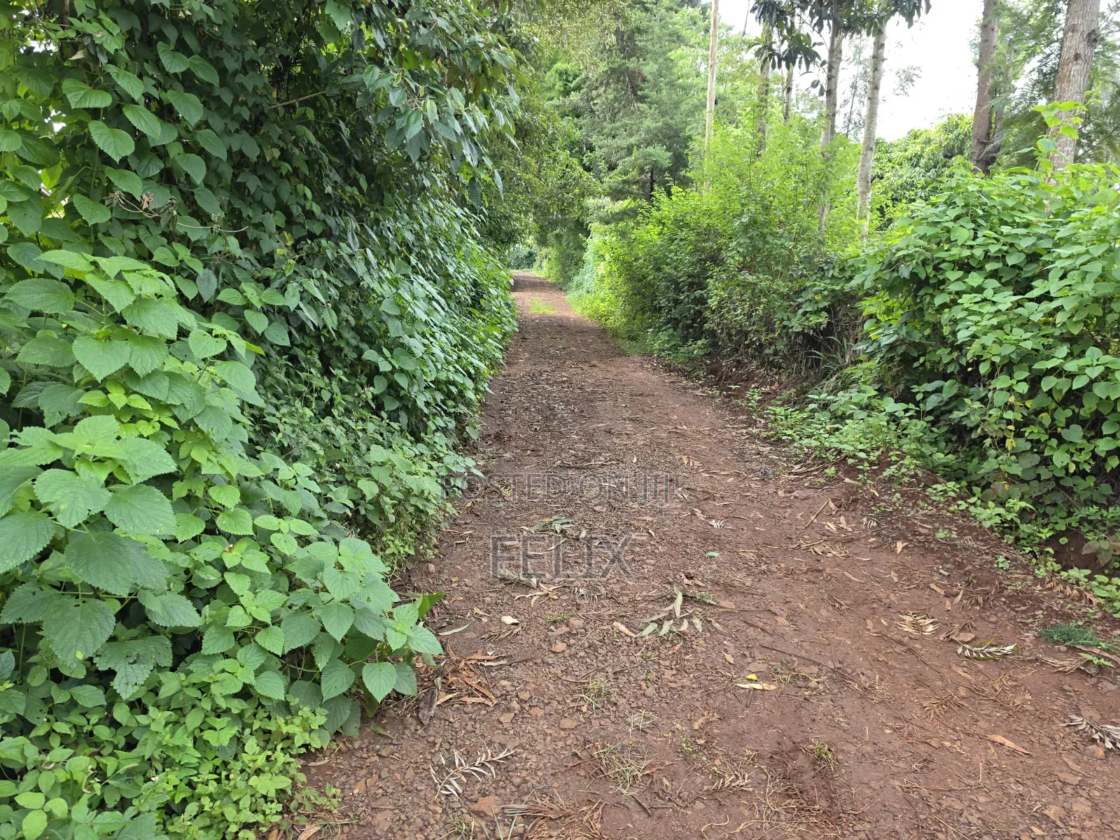1 Acre Karatina Ngorano in Karatina Town