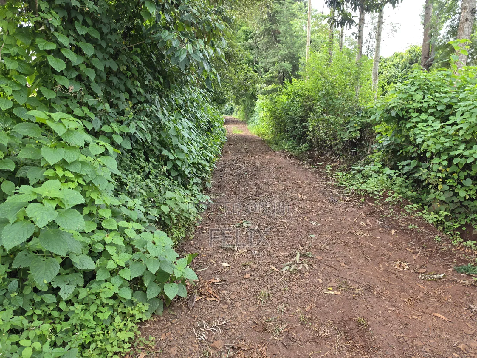 1 Acre Karatina Ngorano in Karatina Town