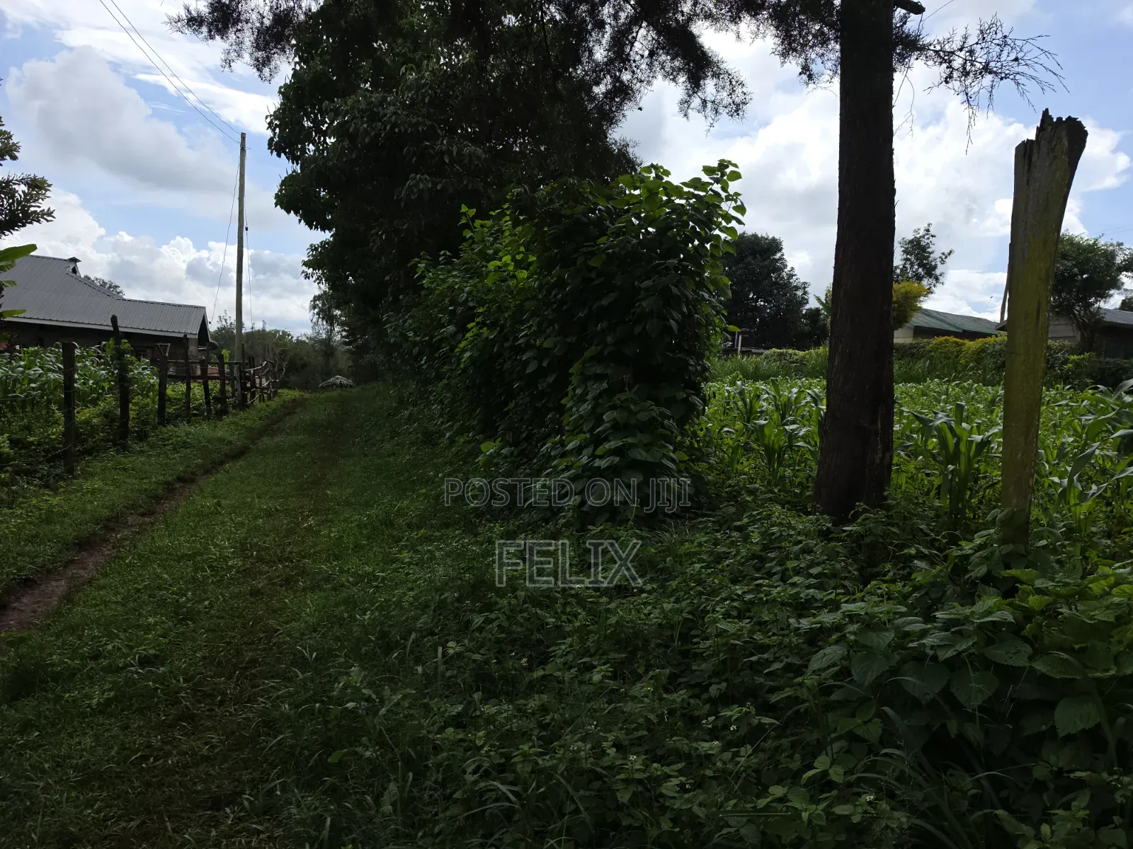 1 Acre Karatina Ngorano in Karatina Town