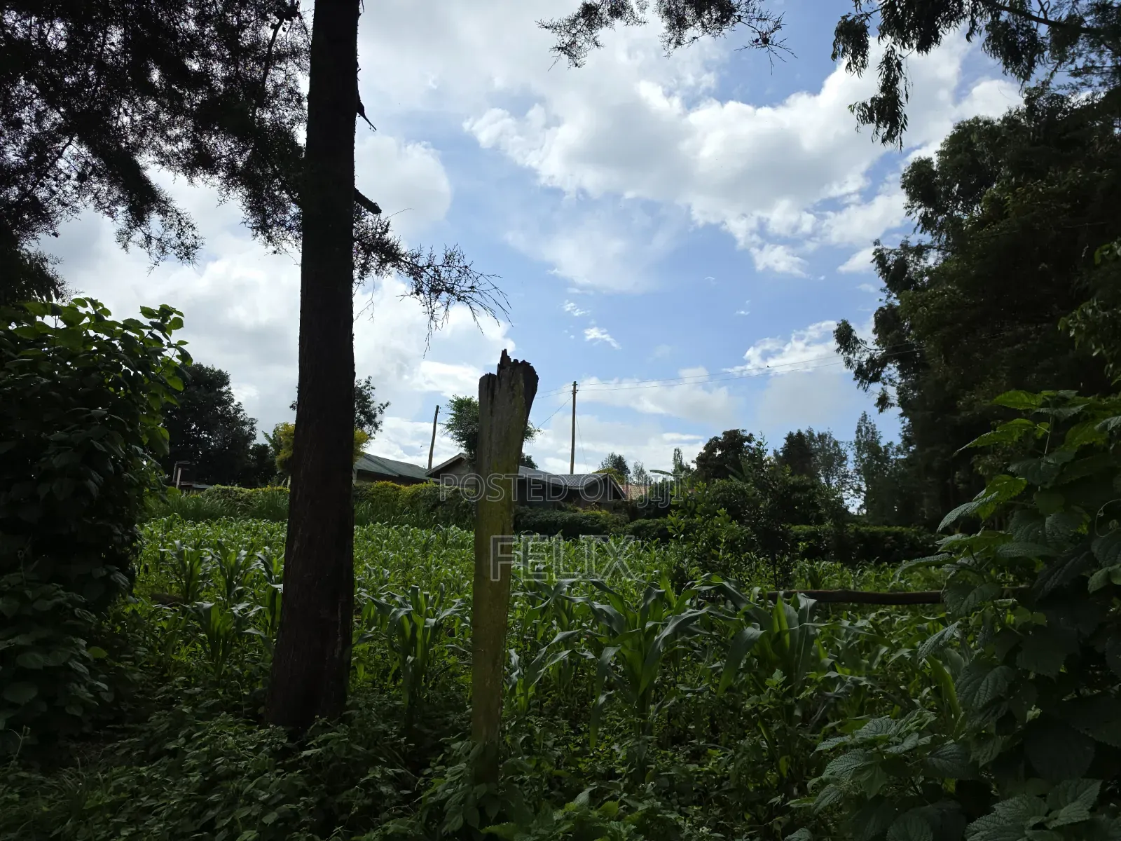 1 Acre Karatina Ngorano in Karatina Town
