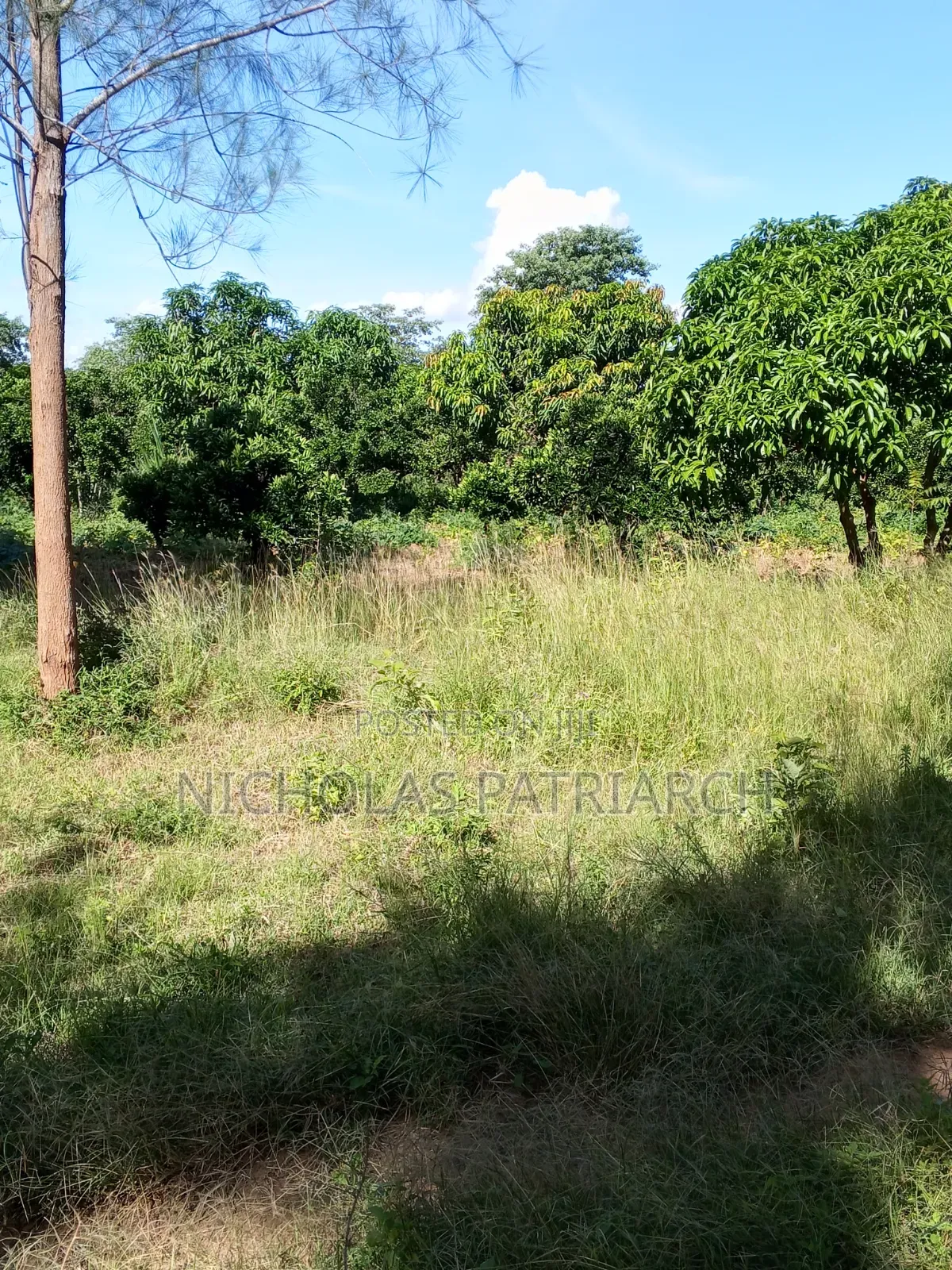 14 Acres Farm at Kabaa Machakos County Selling at 15m in Mbiuni