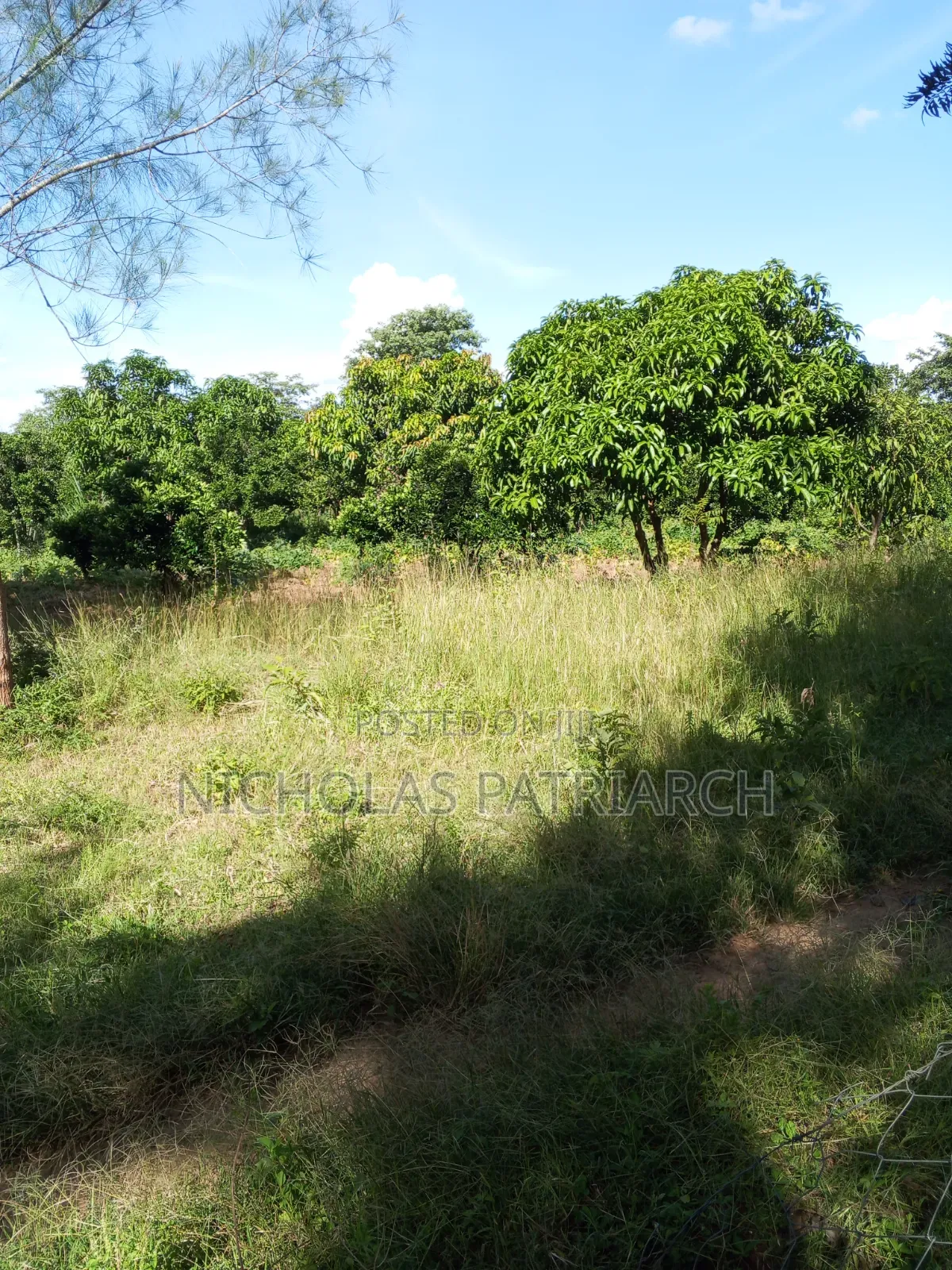 14 Acres Farm at Kabaa Machakos County Selling at 15m in Mbiuni
