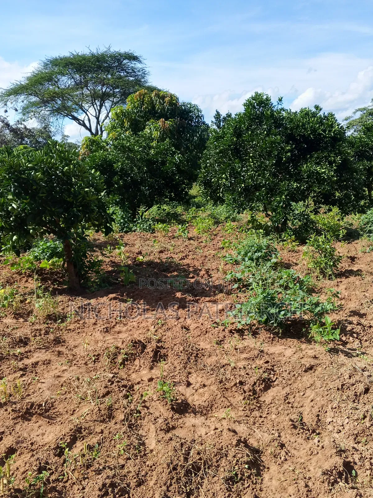7 Acres Kabaa Machakos County Selling at 1.2m Per Acre in Mbiuni