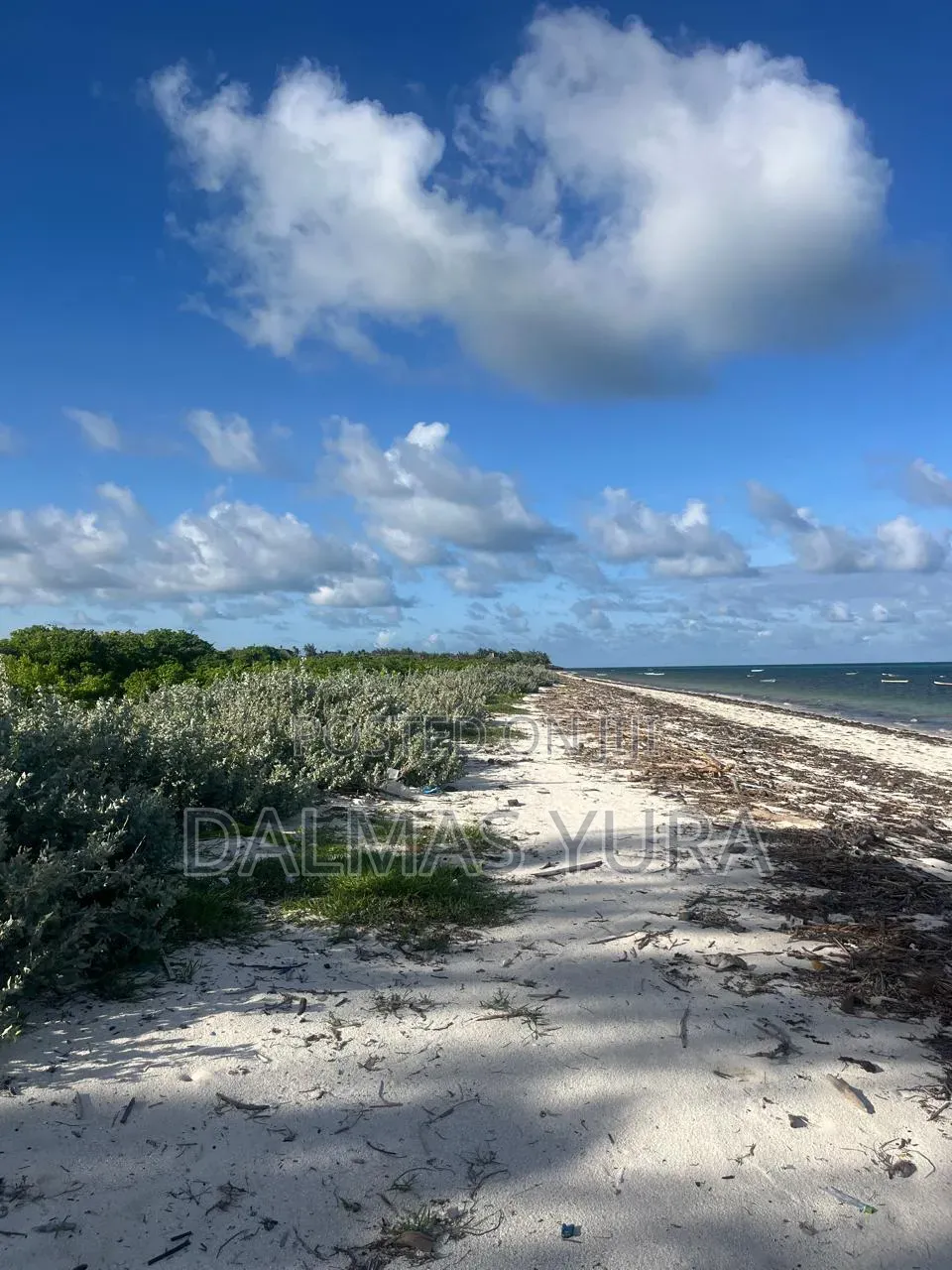 4 Acres Land in Watamu in Watamu