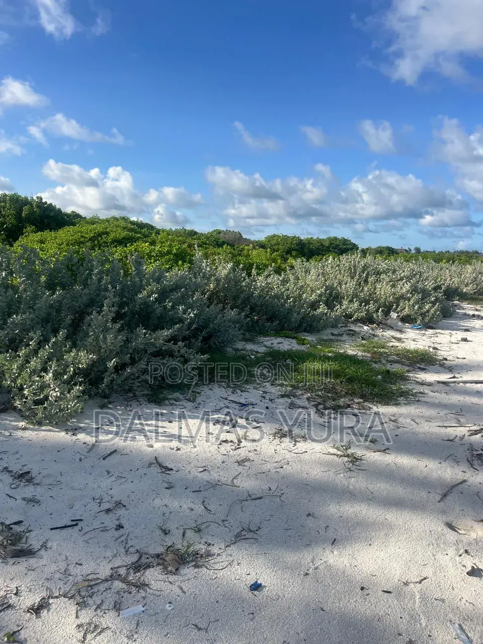 4 Acres Land in Watamu in Watamu
