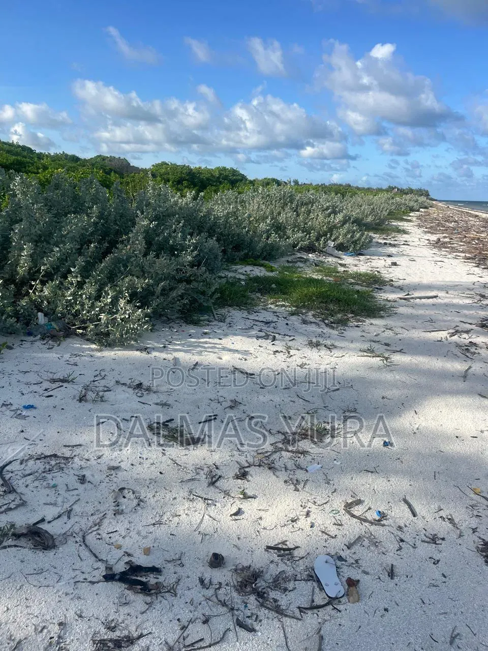 4 Acres Land in Watamu in Watamu