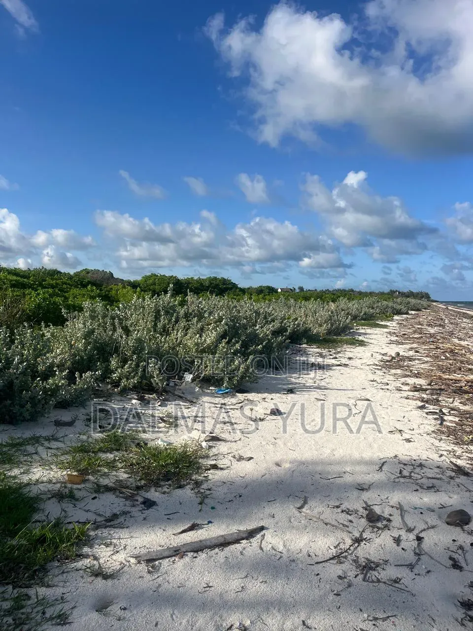 4 Acres Land in Watamu in Watamu