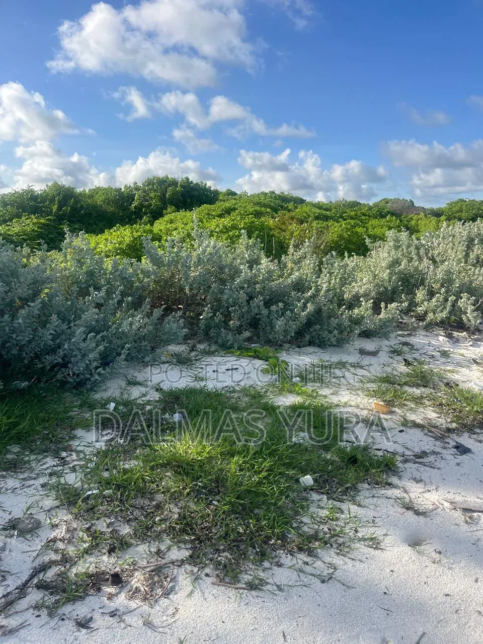 4 Acres Land in Watamu in Watamu