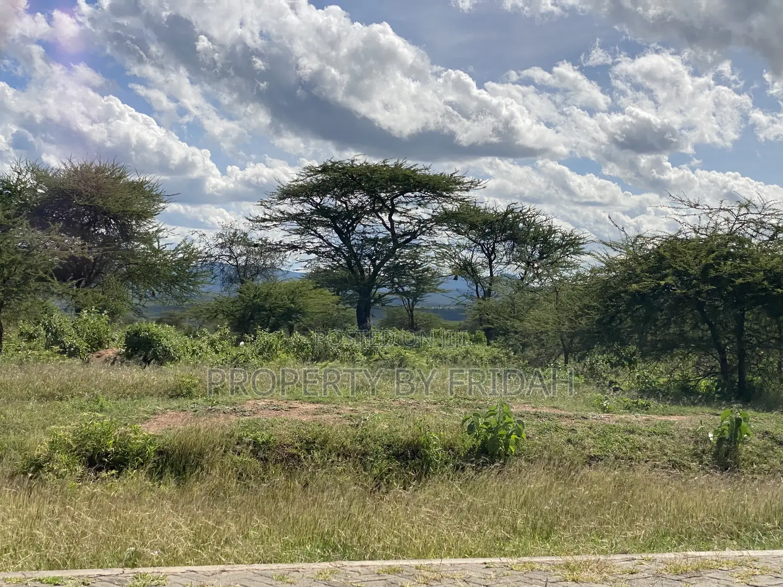 30acres for Sale(Imaroro-Mashuru) in Imaroro