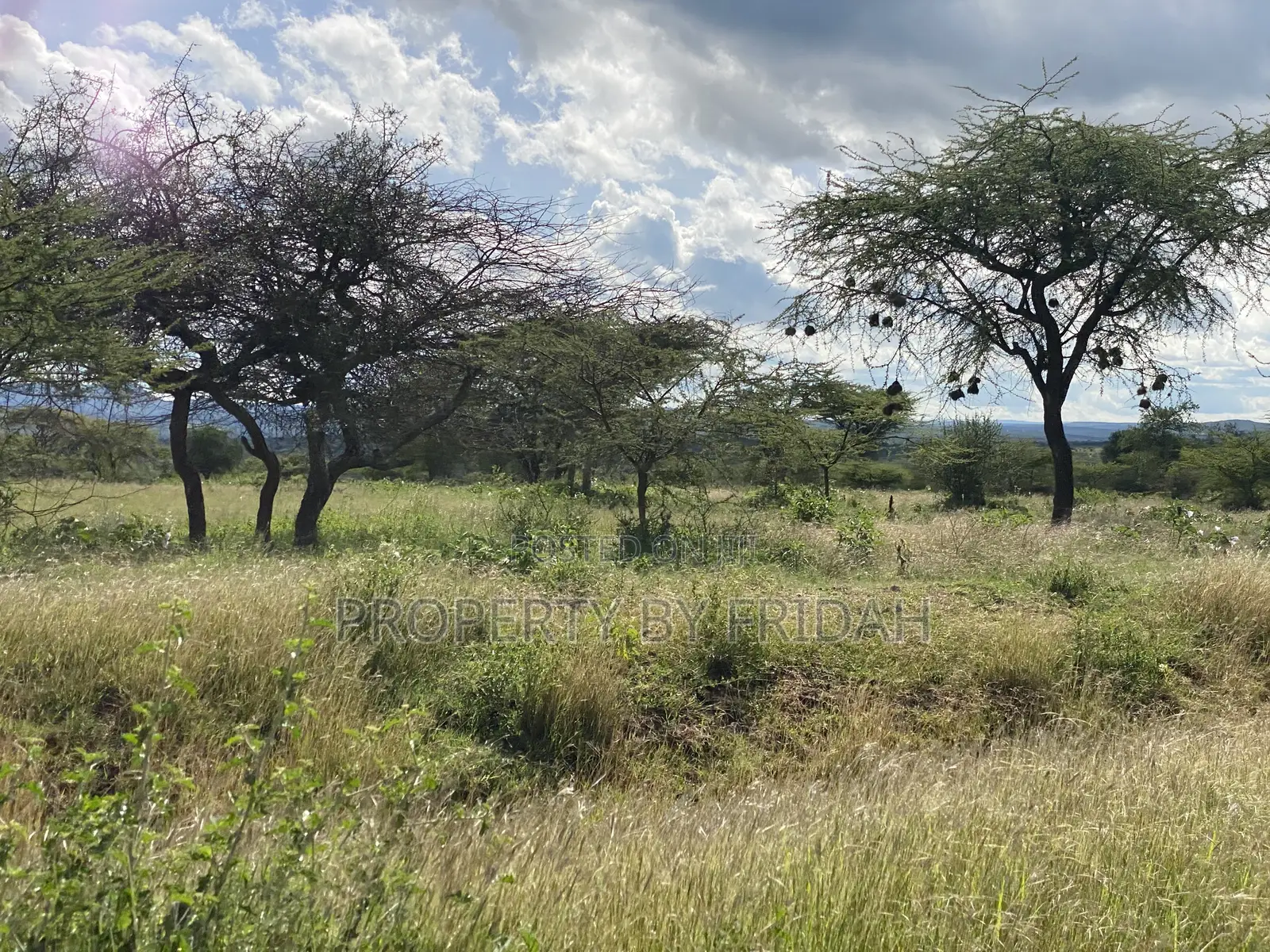 30acres for Sale(Imaroro-Mashuru) in Imaroro