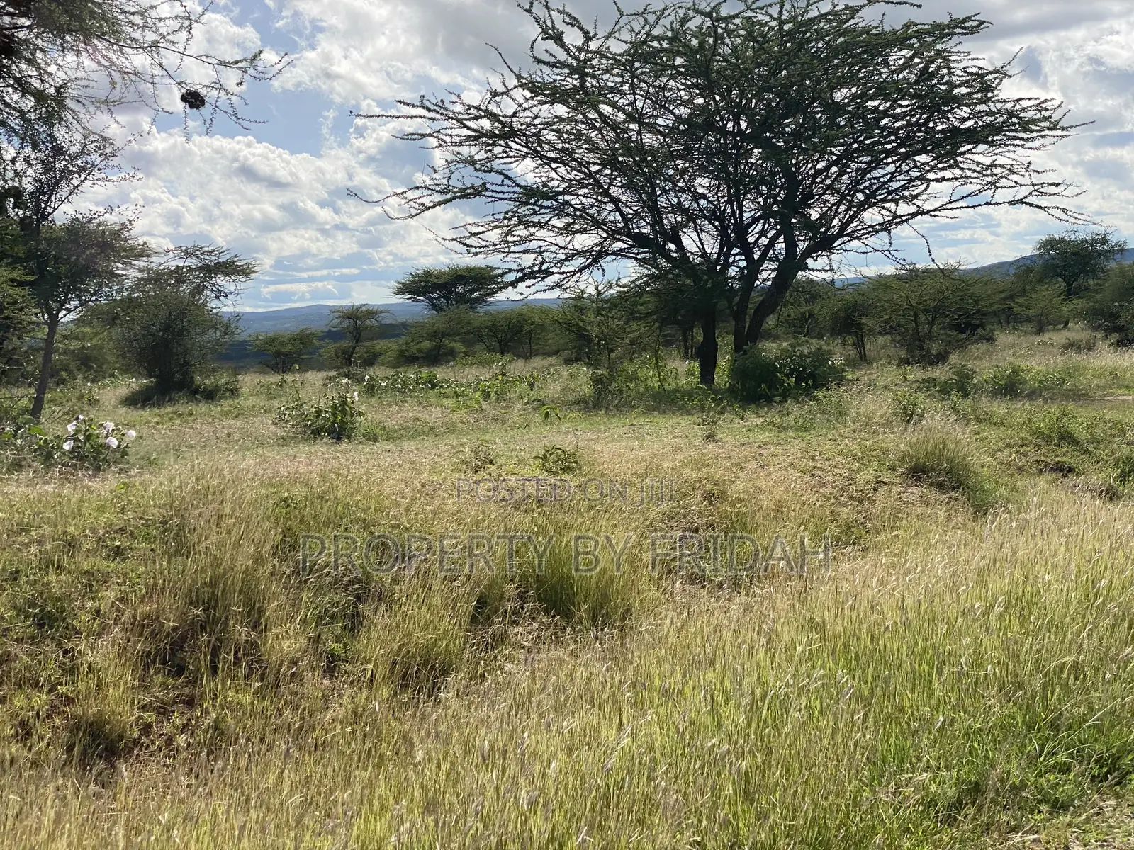 30acres for Sale(Imaroro-Mashuru) in Imaroro
