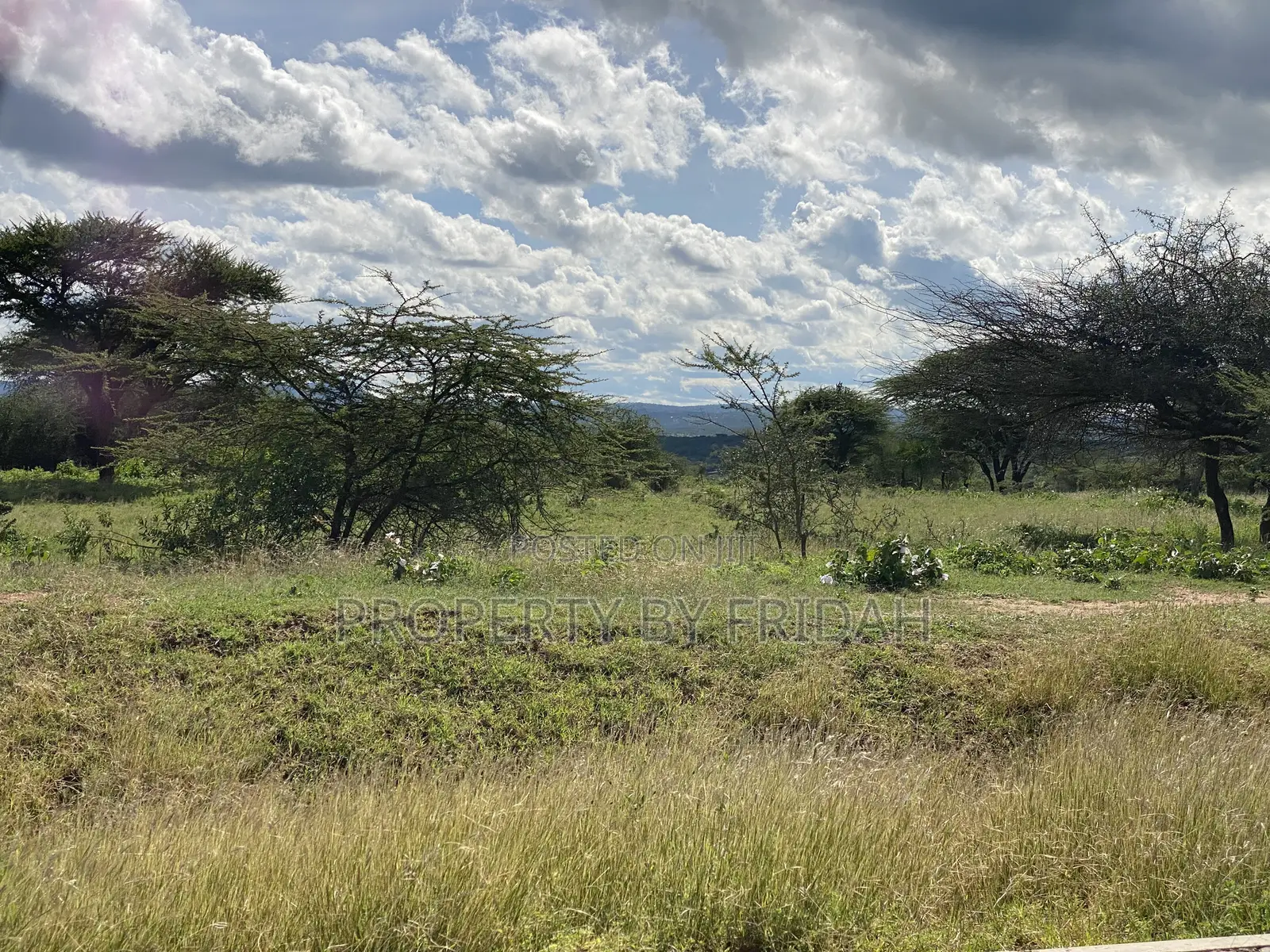 30acres for Sale(Imaroro-Mashuru) in Imaroro