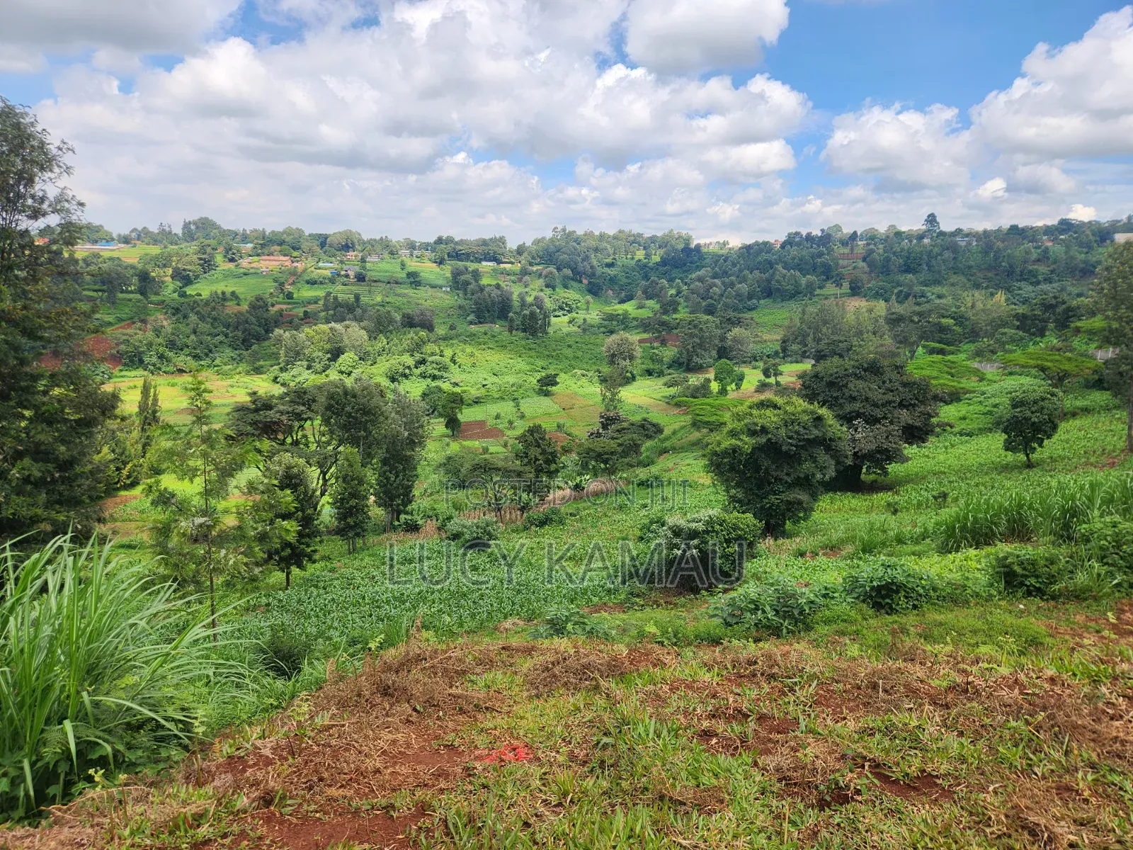 14 Acre Prime Land for Sale in Redhill in Kiambu CBD