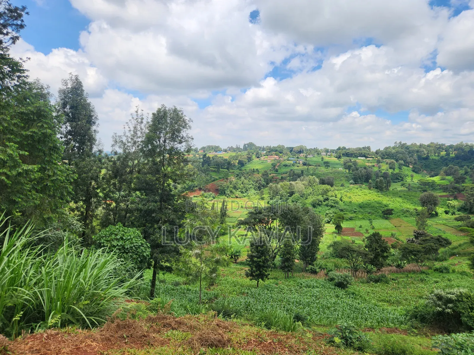 14 Acre Prime Land for Sale in Redhill in Kiambu CBD